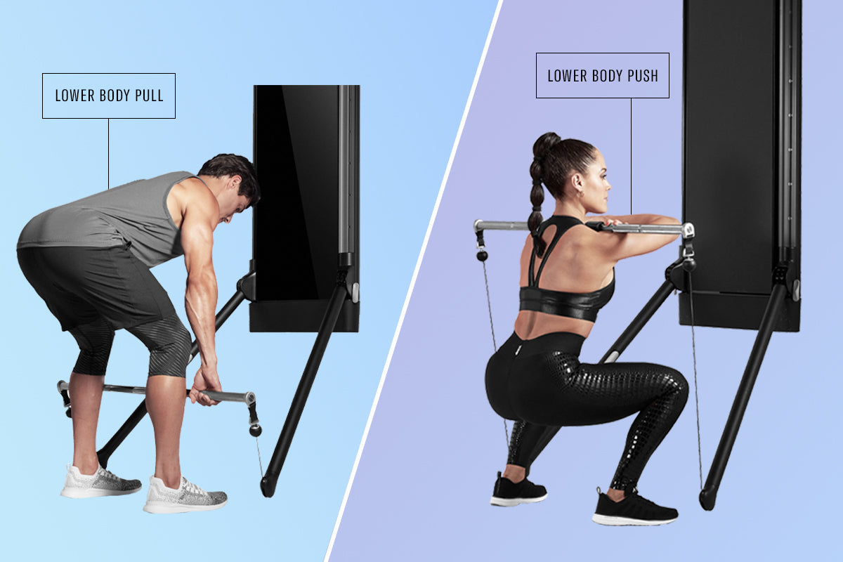 push-pull legs workout