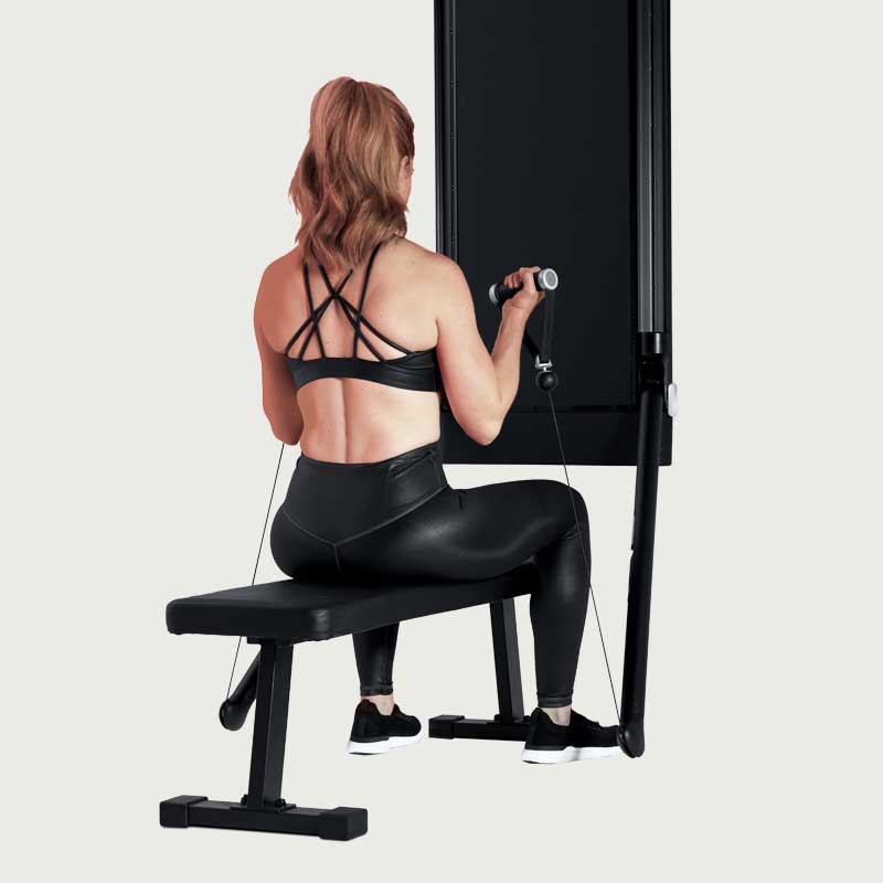 Seated biceps curl; at-home biceps workout.