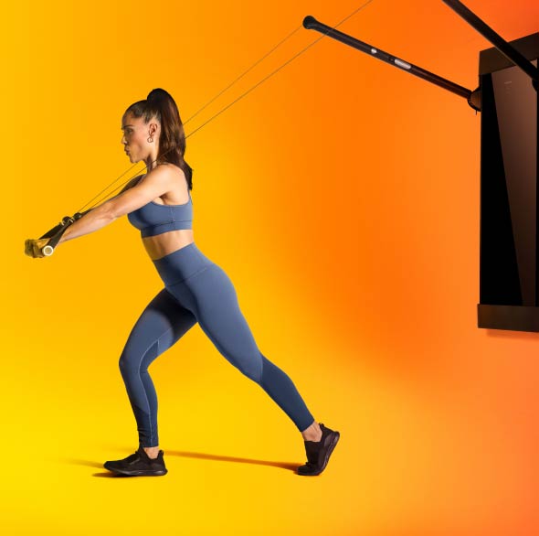 Standing Decline Chest Press