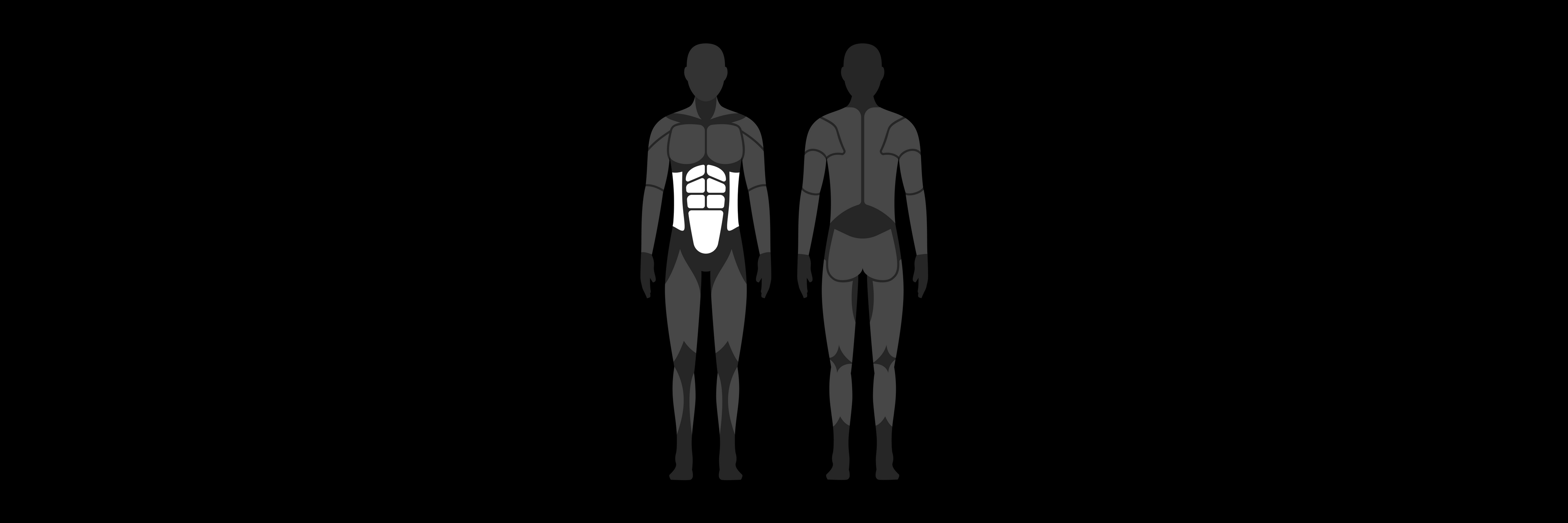 Diagram of muscle groups of a human highlighting abdominal muscle region